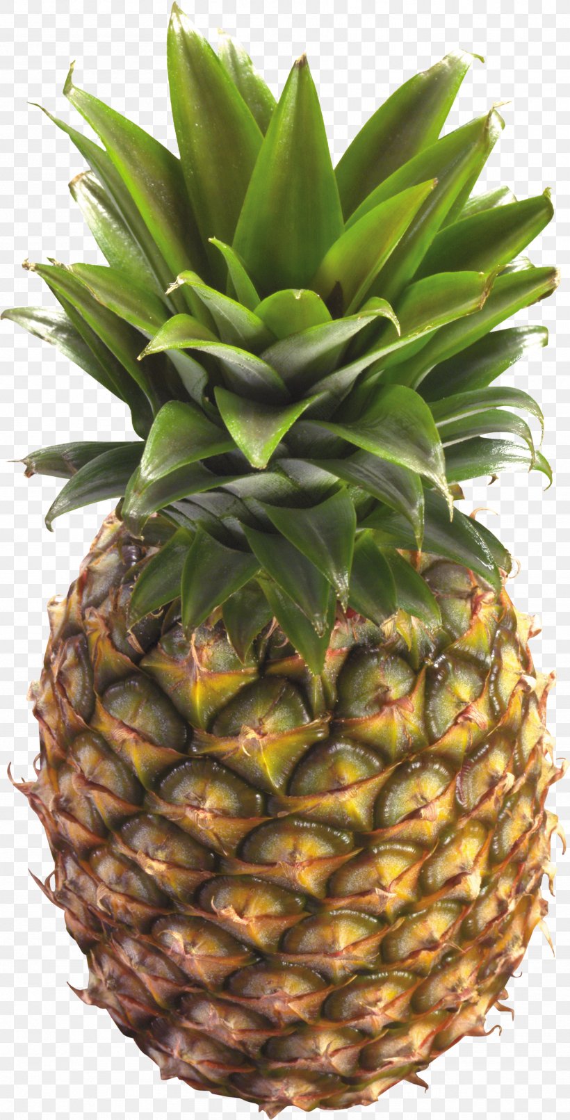 Juice Pineapple Fruit Clip Art, PNG, 1768x3475px, Juice, Ananas, Berry, Bromeliaceae, Food Download Free