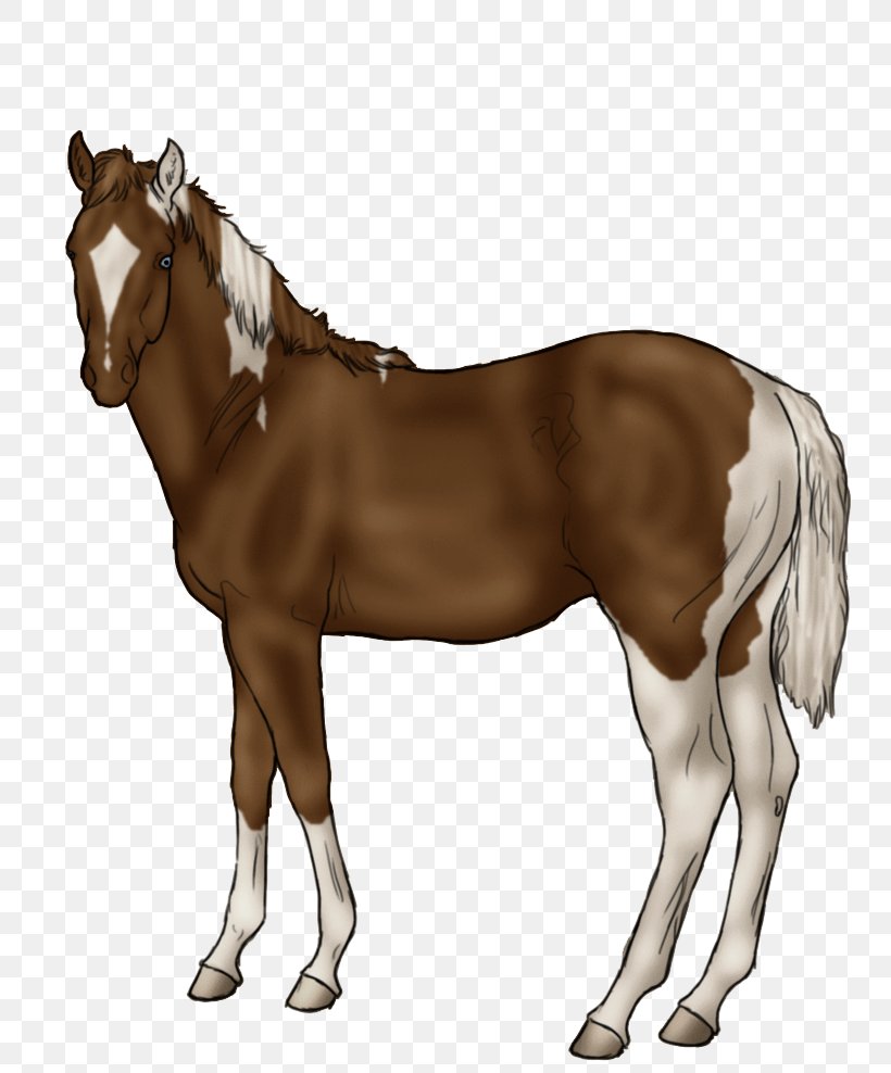 Mane Horse Foal Stallion Rein, PNG, 808x988px, Mane, Bit, Bridle, Colt, Foal Download Free