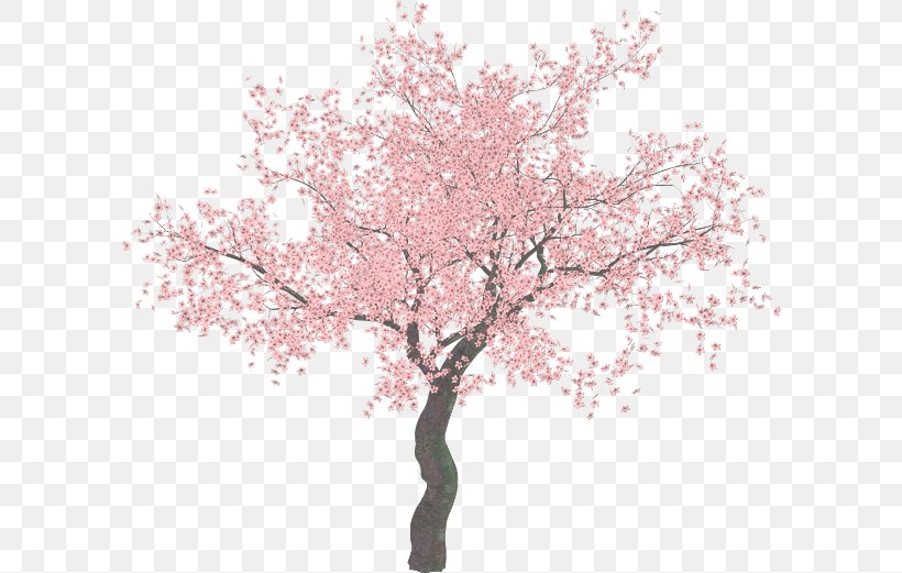 Cherry Blossom Tree Clip Art, PNG, 600x521px, Cherry Blossom, Blossom, Branch, Cerasus, Cherry Download Free