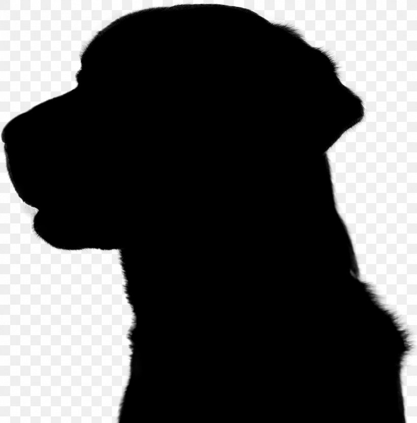 Dog Breed Puppy Snout Silhouette, PNG, 1063x1081px, Dog Breed, Black M, Breed, Canidae, Carnivore Download Free