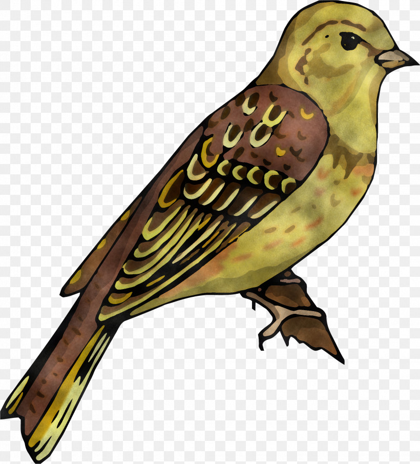 House Sparrow Ortolan Bunting Finches Birds Cuckoos, PNG, 2043x2256px, House Sparrow, Beak, Bird Of Prey, Birds, Cuckoos Download Free
