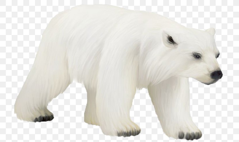 Polar Bear Bird Animal Clip Art, PNG, 736x487px, Polar Bear, Animal, Bear, Bird, Carnivoran Download Free