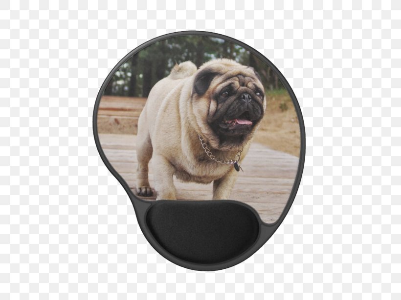 Pug Puppy Dog Breed Pet Key Chains, PNG, 615x615px, Pug, Animal, Breed, Canidae, Carnivoran Download Free