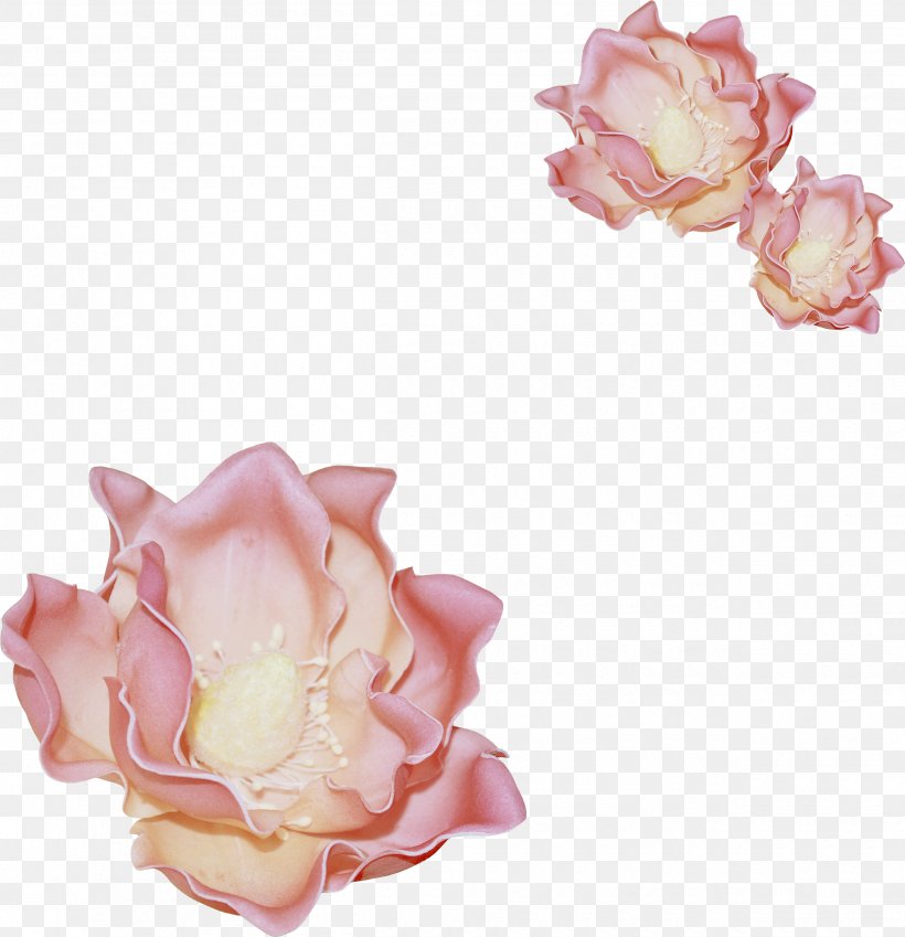 Garden Roses Flower Handkerchief Clip Art, PNG, 2500x2590px, Garden Roses, Button, Cut Flowers, Flower, Flowering Plant Download Free