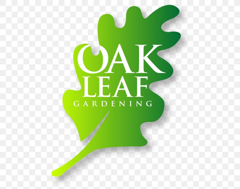 Logo Leaf Oak Gardening, PNG, 500x647px, Logo, Blight, Brand, Garden, Gardening Download Free