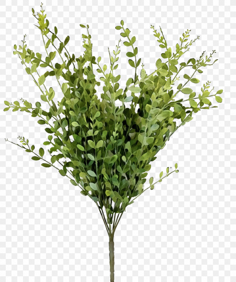 Artificial Flower, PNG, 856x1024px, Watercolor, Artificial Flower, Bay Laurel, Bay Leaf Tree, Branch Download Free