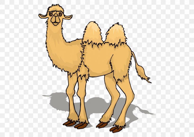 Camel Animation Cartoon Clip Art, PNG, 842x596px, Camel, Animal, Animation, Arabian Camel, Camel Like Mammal Download Free