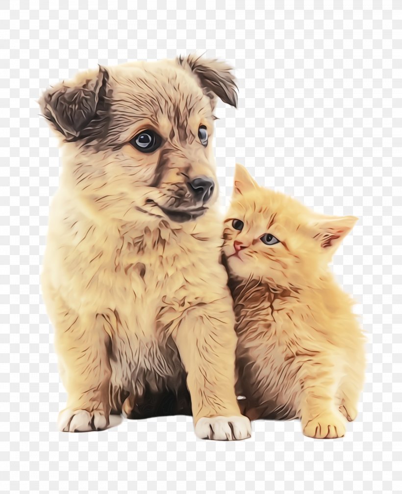 Cat Puppy Dog Kitten Dog Breed, PNG, 1804x2216px, Watercolor, Cat, Dog, Dog Breed, Kitten Download Free