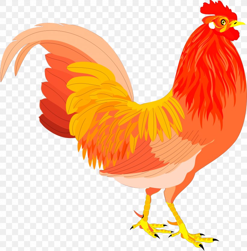 Chicken Rooster Clip Art Bird, PNG, 2267x2305px, Chicken, Animal Figure, Beak, Bird, Blog Download Free
