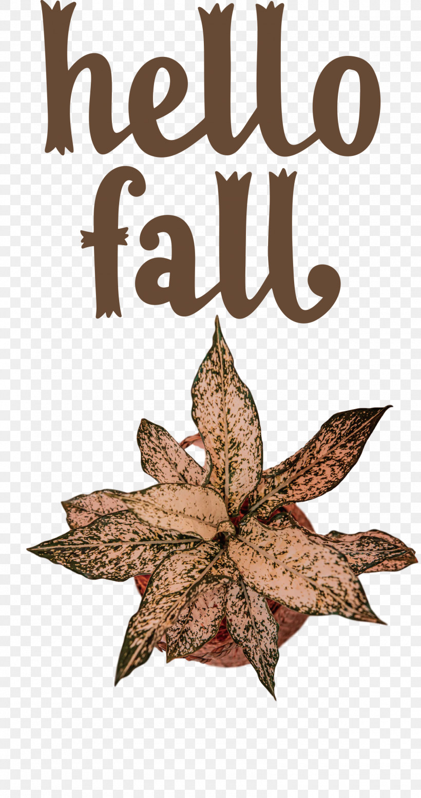 Hello Fall Fall Autumn, PNG, 1580x2999px, Hello Fall, Autumn, Autumn Wreath, Craft, Fall Download Free