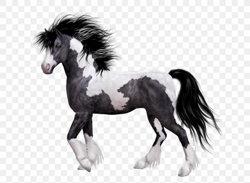 Horse Mane Pony Clip Art, PNG, 650x603px, Horse, Animal, Black And White, Colt, Equus Download Free
