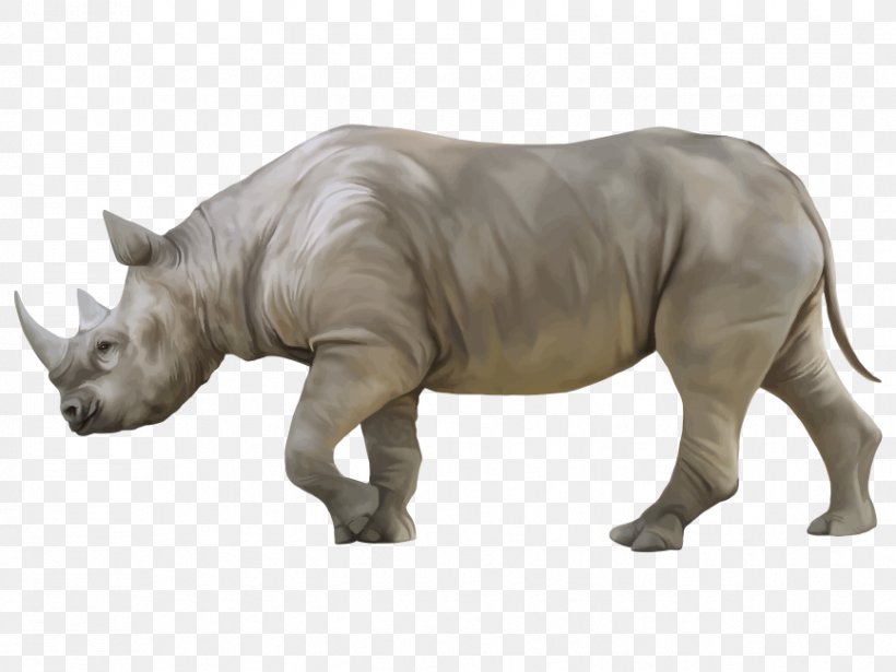 Rhinoceros Rhinoceros, PNG, 866x650px, Rhinoceros, Animal Figure, Black Rhinoceros, Horn, Indian Rhinoceros Download Free