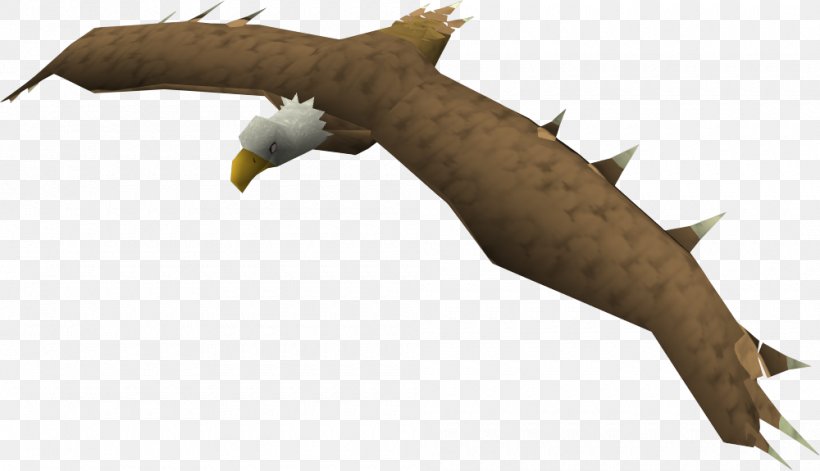 RuneScape Bird Eagle Wiki Non-player Character, PNG, 1000x575px, Runescape, Animal, Beak, Bird, Bird Of Prey Download Free