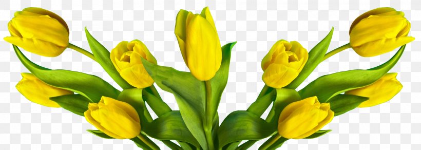 Cut Flowers Easter Bunny Flower Bouquet, PNG, 1920x684px, Cut Flowers, Bud, Easter, Easter Bunny, Floral Design Download Free