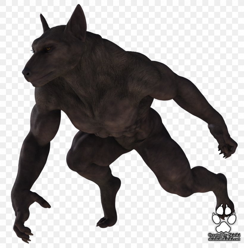 Gray Wolf Werewolf DAS Productions Inc Lycaon, PNG, 1094x1116px, Gray Wolf, Art, Black Wolf, Das Productions Inc, Deviantart Download Free