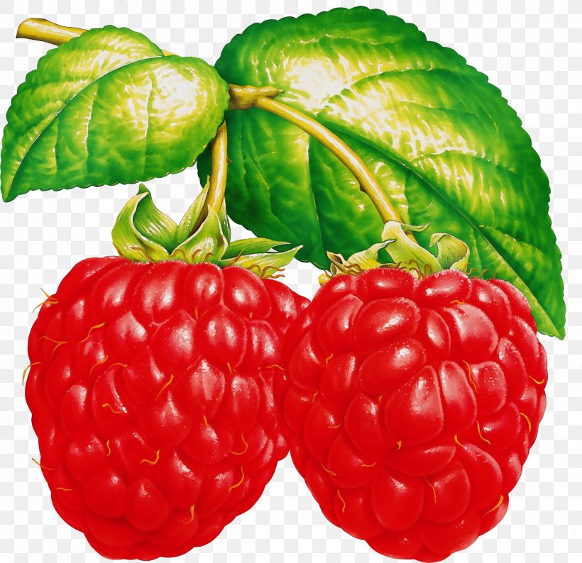 Strawberry, PNG, 2286x2215px, Watercolor, Berry, Food, Fruit, Frutti Di Bosco Download Free