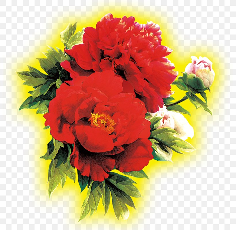 Floral Design Chrysanthemum Flower, PNG, 800x800px, Floral Design, Annual Plant, Artificial Flower, Artworks, Chrysanthemum Download Free