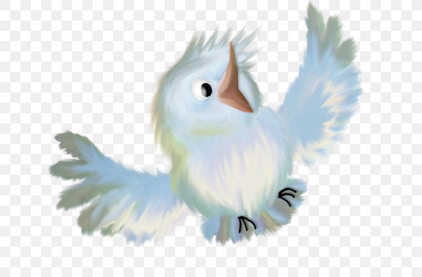 Bird Of Prey Parrot Owl, PNG, 699x539px, Bird, Amazon Parrot, Beak, Bird Of Prey, Fauna Download Free