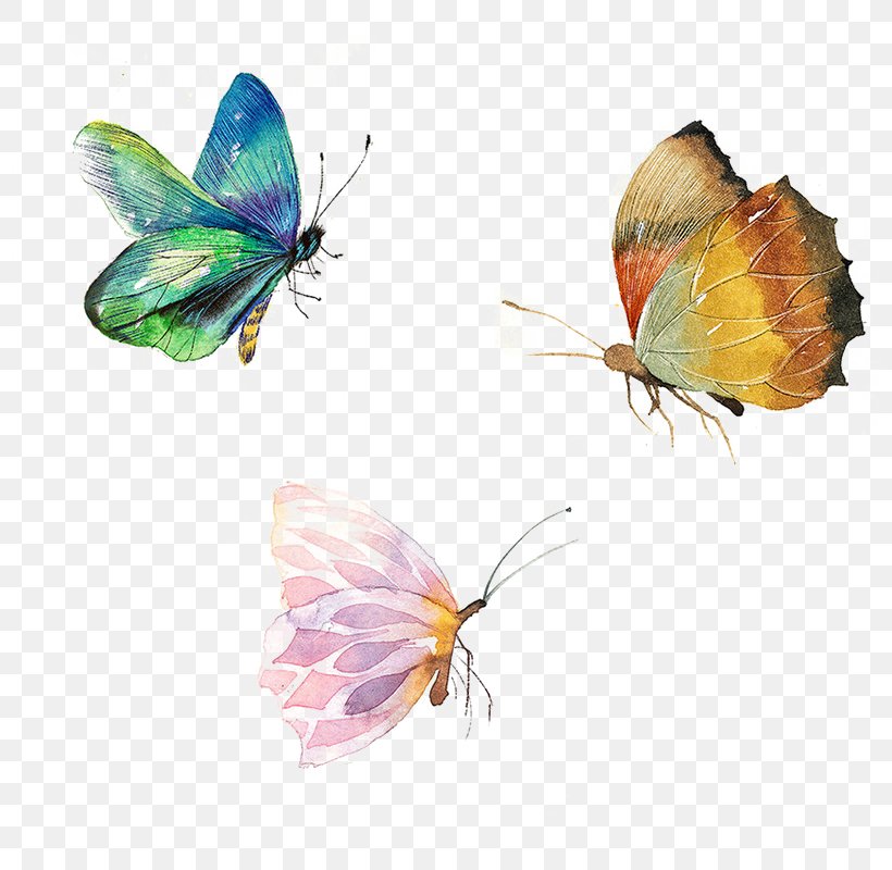 Butterfly, PNG, 800x800px, Butterfly, Art, Arthropod, Brush Footed Butterfly, Insect Download Free