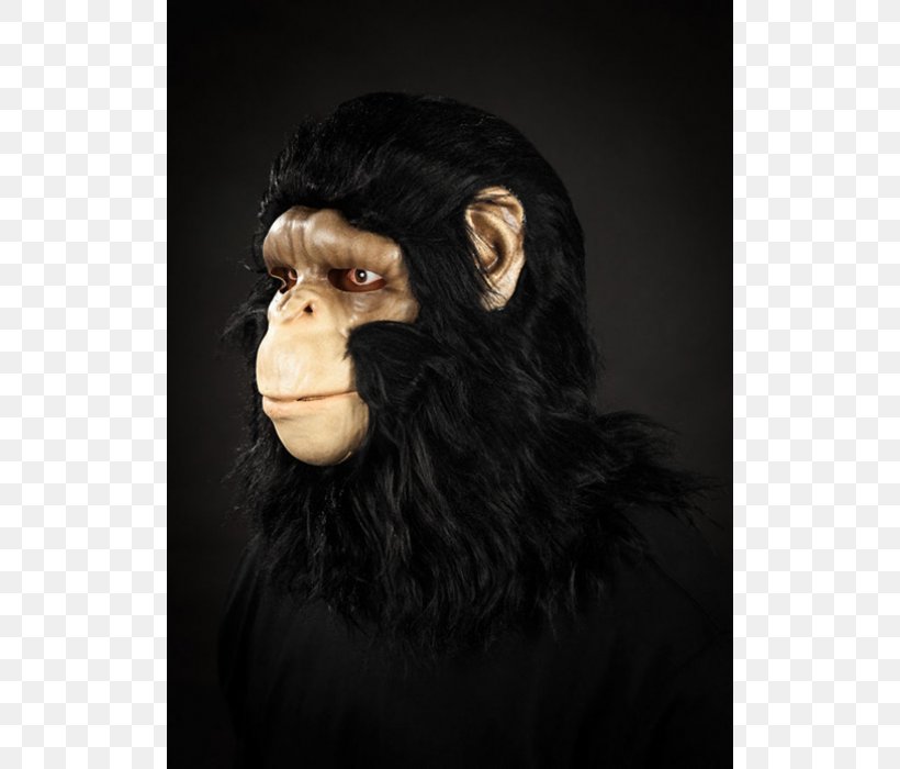 Common Chimpanzee Gorilla Monkey Mask Mysticum.cz, PNG, 700x700px, Common Chimpanzee, Chimpanzee, Facial Hair, Film, Gorilla Download Free