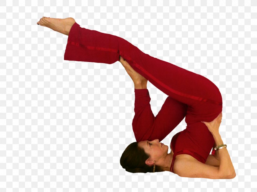 Hormon-Yoga Shoulder Hip Hormone, PNG, 1047x783px, Hormonyoga, Arm, Balance, Hand, Health Download Free
