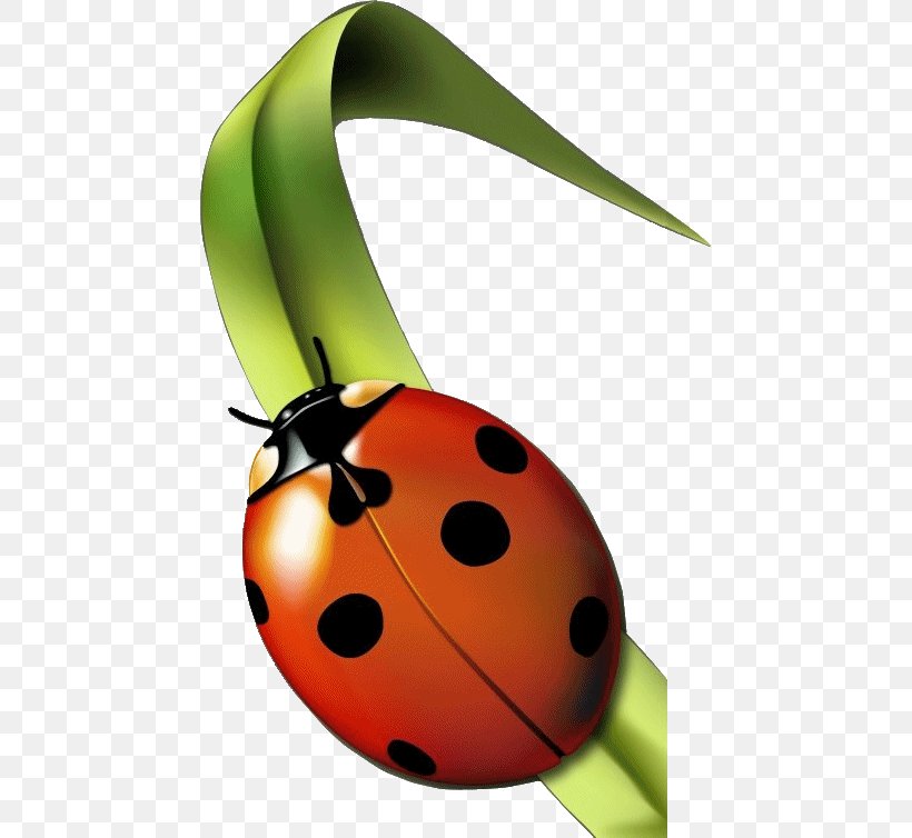 Insect Seven-spot Ladybird Aphid Garderie Coccinelles (Les) Clip Art, PNG, 459x754px, Insect, Animal, Aphid, Bee, Beetle Download Free
