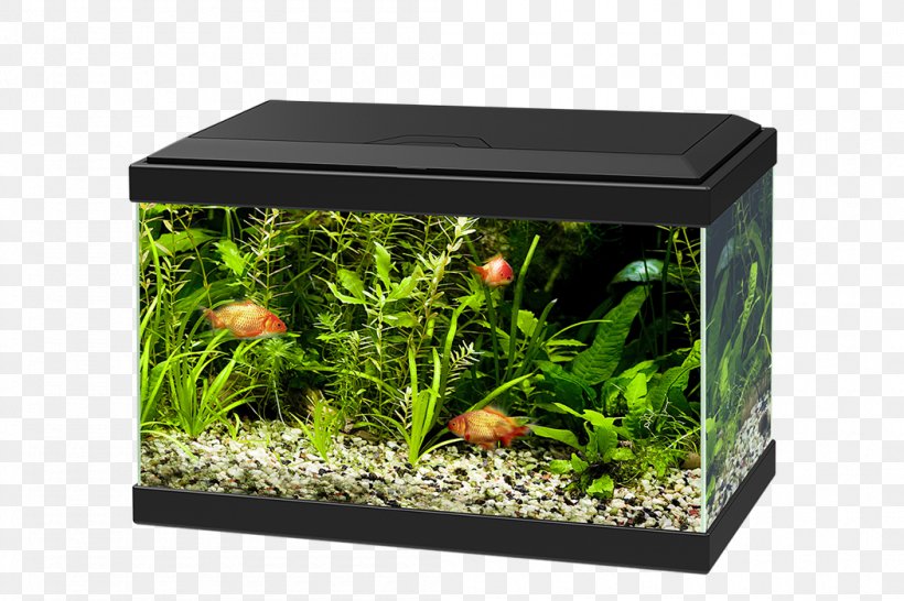 Light-emitting Diode Aquarium Filtration Glass, PNG, 1050x700px, Light, Aqua, Aquarium, Aquarium Decor, Aquarium Filters Download Free