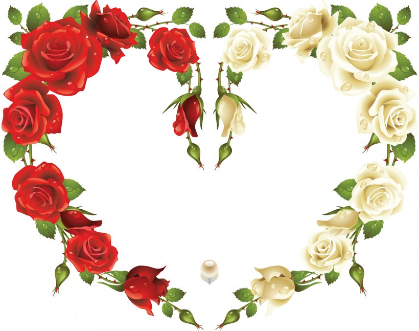 Rose Picture Frames Stock Photography, PNG, 1311x1035px, Rose, Cut Flowers, Floral Design, Floristry, Flower Download Free