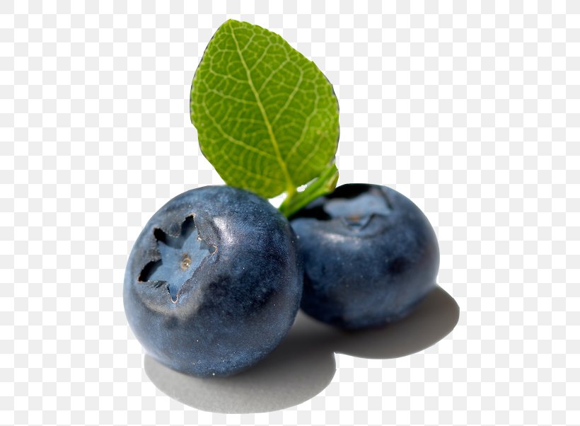 Bilberry Fruit European Blueberry, PNG, 514x602px, Bilberry, Aristotelia Chilensis, Berry, Blueberry, Blueberry Tea Download Free