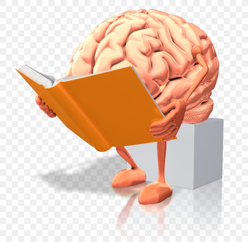 Human Brain Dyslexia Reading Neuroimaging, PNG, 750x800px, Watercolor, Cartoon, Flower, Frame, Heart Download Free