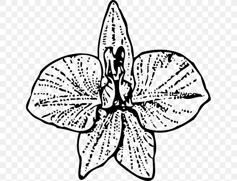 Larkspur Flower Clip Art, PNG, 640x625px, Larkspur, Artwork, Birth Flower, Black And White, Butterfly Download Free