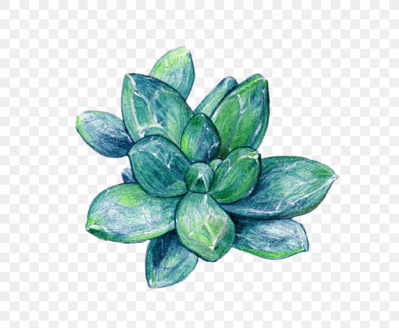 Succulent Plant Raster Graphics, PNG, 824x679px, Succulent Plant, Color, Creative Work, Designer, Pixel Download Free