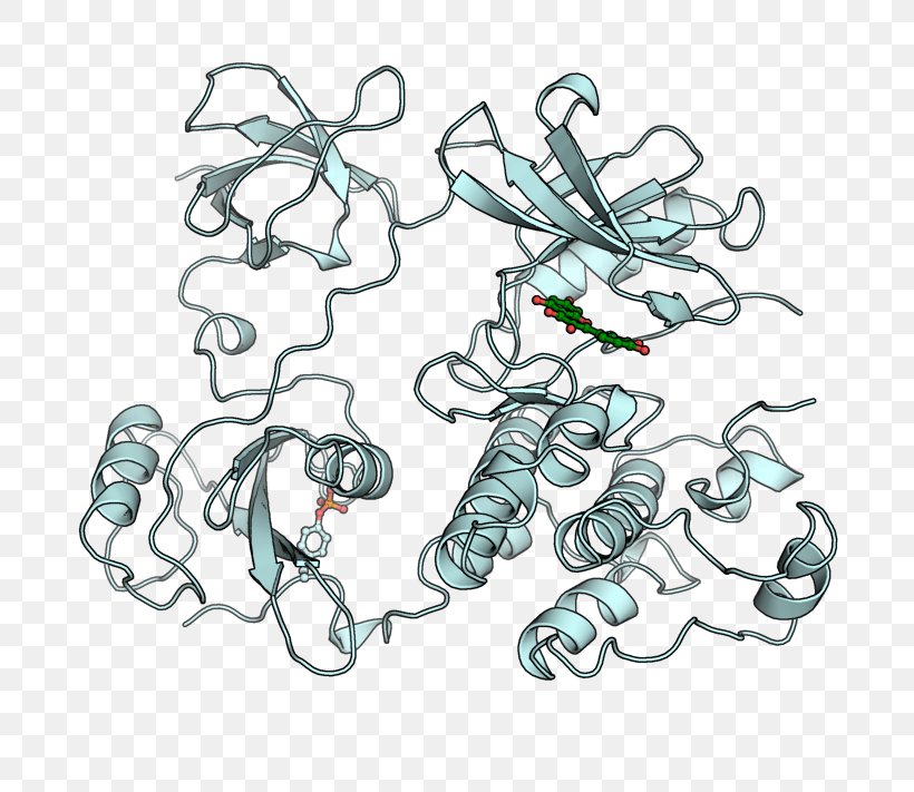 Tyrosine Kinase Enzyme Protein, PNG, 740x711px, Tyrosine Kinase, Adenosine Triphosphate, Area, Art, Artwork Download Free