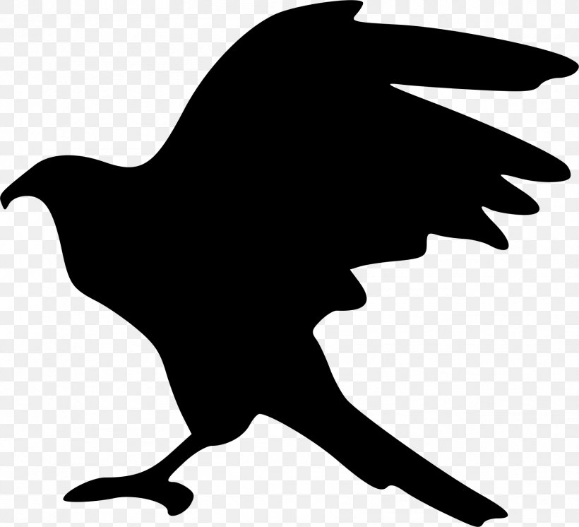 Bald Eagle Hawk Silhouette Clip Art, PNG, 1774x1616px, Bald Eagle, Artwork, Beak, Bird, Black Download Free