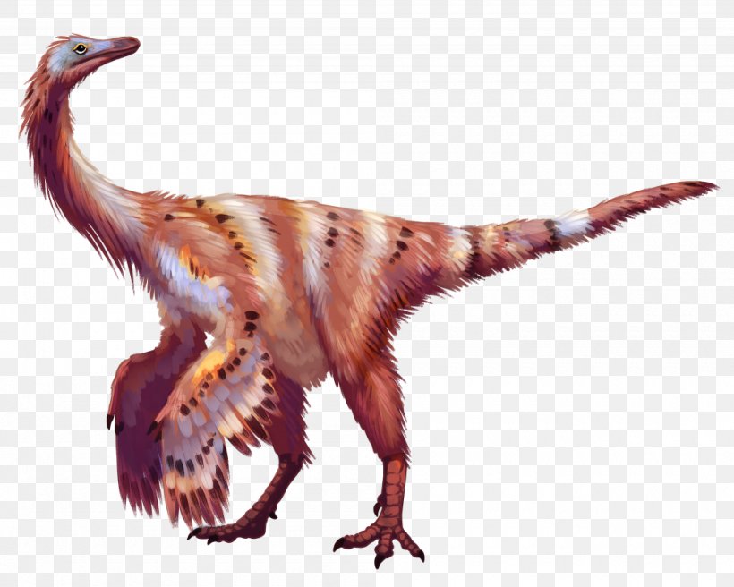 Beak Velociraptor Feather Wildlife Terrestrial Animal, PNG, 1000x801px, Beak, Animal, Bird, Dinosaur, Fauna Download Free