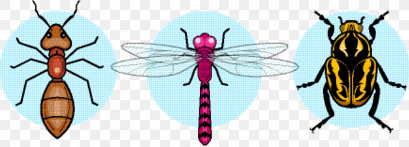 Butterfly, PNG, 1996x720px, Butterfly, Animation, Blowflies, Character, Character Created By Download Free