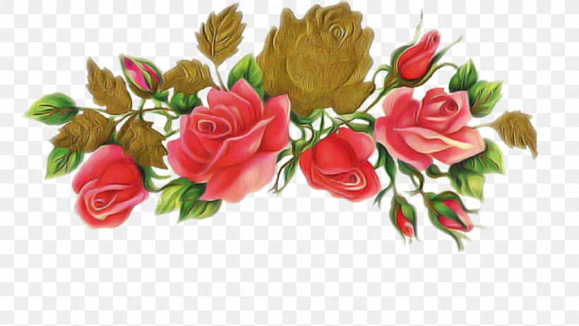Garden Roses, PNG, 1024x578px, Flower, Bouquet, Cut Flowers, Garden Roses, Pink Download Free