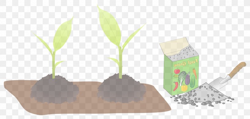 Leaf Plant Houseplant Grass Tree, PNG, 2400x1148px, Leaf, Aquarium Decor, Flower, Grass, Houseplant Download Free