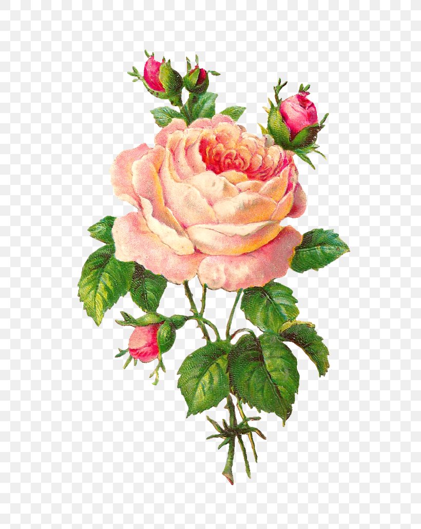 Rose Flower Floral Design Vintage Clothing Clip Art, PNG, 700x1030px, Rose, Antique, Artificial Flower, Cut Flowers, Floral Design Download Free