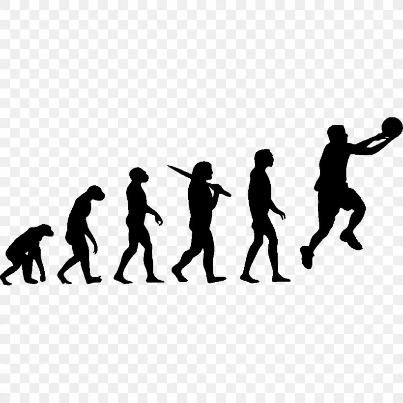 T-shirt Human Evolution Homo Sapiens On The Origin Of Species, PNG, 1000x1000px, Tshirt, Black, Black And White, Evolution, Evolutionism Download Free