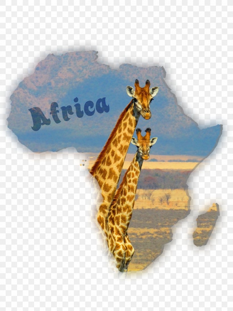 Giraffe South Africa Okapi Image Stock.xchng, PNG, 960x1280px, Giraffe, Africa, African Leopard, Art Notebook, Elephant Download Free