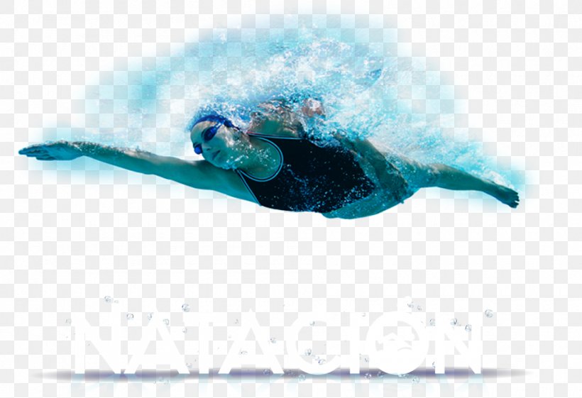 Olympic-size Swimming Pool Sport, PNG, 950x650px, Swimming, Aqua, Exercise, Ice, Information Download Free