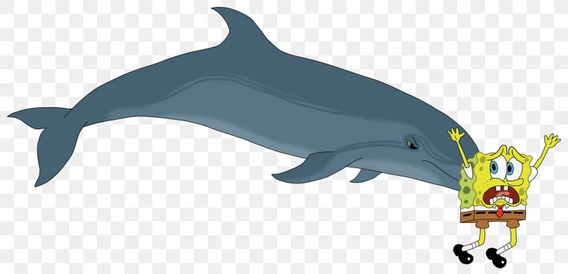 Common Bottlenose Dolphin The Bottlenose Dolphin Southern Right Whale Dolphin Clip Art, PNG, 2045x989px, Common Bottlenose Dolphin, Amazon River Dolphin, Animal Figure, Atlantic Spotted Dolphin, Bottlenose Dolphin Download Free
