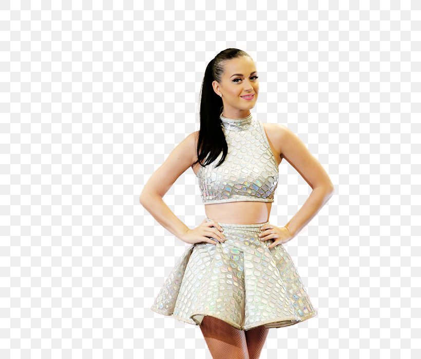Katy Perry Dress Miniskirt Katycats Model, PNG, 500x700px, Watercolor, Cartoon, Flower, Frame, Heart Download Free