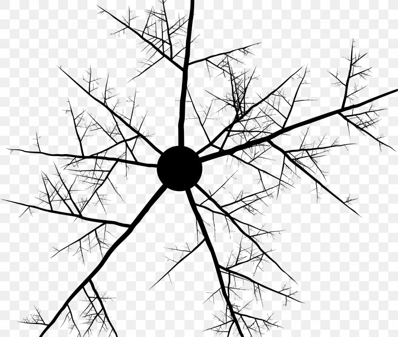 Branch Line Art Abstract Art Clip Art, PNG, 2274x1930px, Branch, Abstract Art, Area, Artwork, Black Download Free