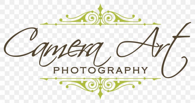Photographic Film Fine-art Photography Camera Clip Art, PNG, 2040x1080px, Photographic Film, Area, Art, Art Museum, Brand Download Free