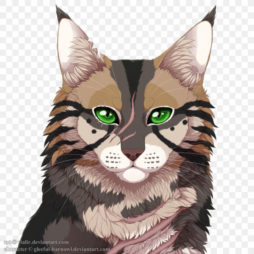 Whiskers Wildcat Tabby Cat Fauna, PNG, 894x894px, Whiskers, Carnivoran, Cat, Cat Like Mammal, Character Download Free