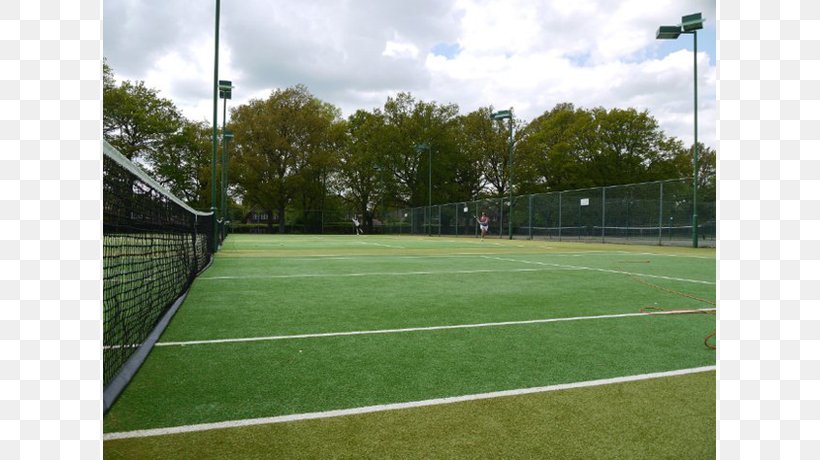 Ball Game Artificial Turf Sports Venue, PNG, 809x460px, Ball Game, Area, Artificial Turf, Ball, Family Download Free