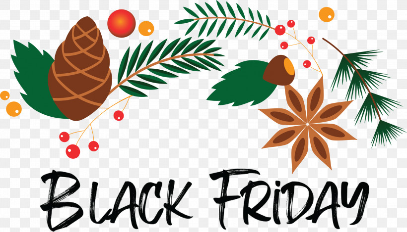 Black Friday Shopping, PNG, 3000x1716px, Black Friday, Biology, Christmas Day, Christmas Ornament, Christmas Ornament M Download Free