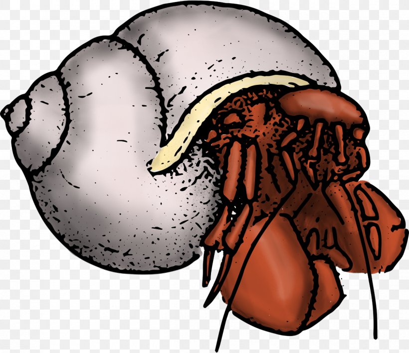 Hermit Crab Decapoda Barnacle Clip Art, PNG, 1200x1036px, Crab, Barnacle, Claw, Decapoda, Head Download Free